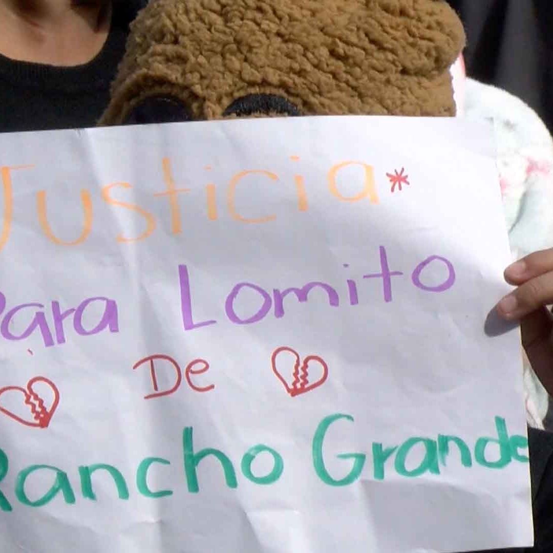 Defensores Exigen Mayores Sanciones a Quienes Maltraten Animales en Reynosa