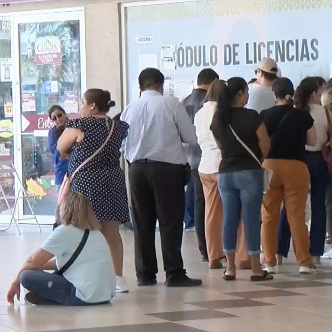 Módulo de licencia en Veracruz