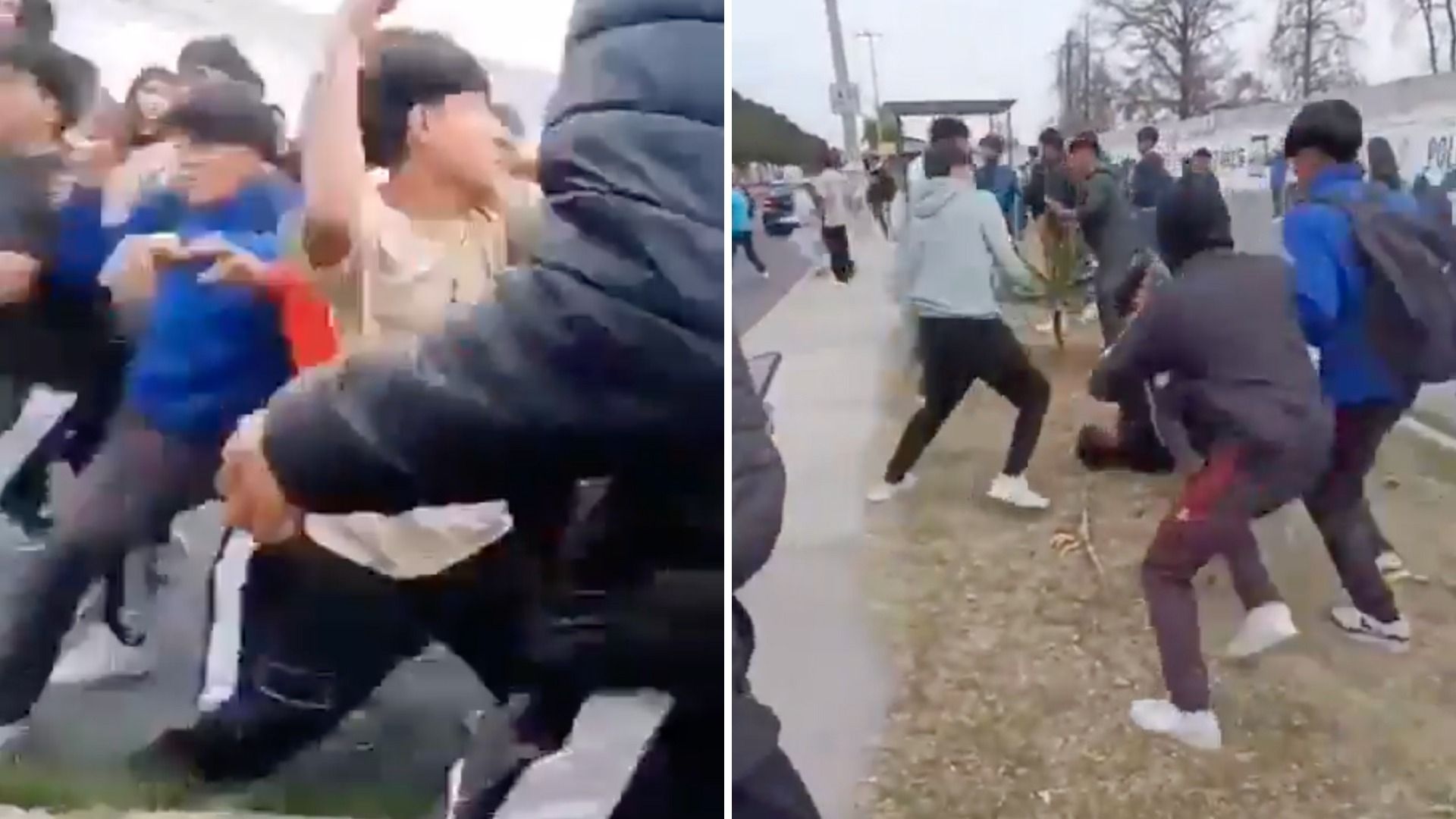 Los estudiantes alentaban que la pelea continuara.