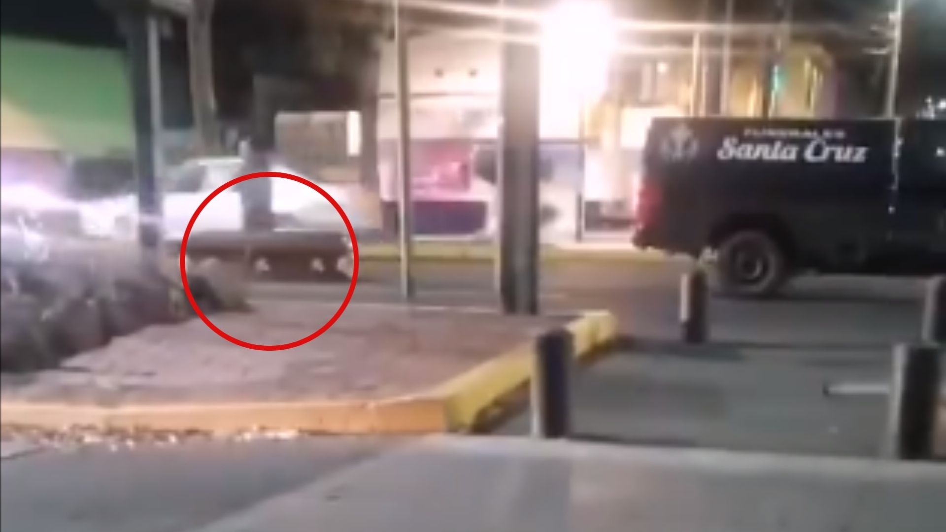 Video: Carroza Funeraria Tira Ataúd en Plena Avenida