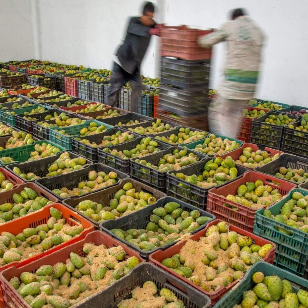 Quién paga los aranceles de Trump a México importador, exportador o consumidor