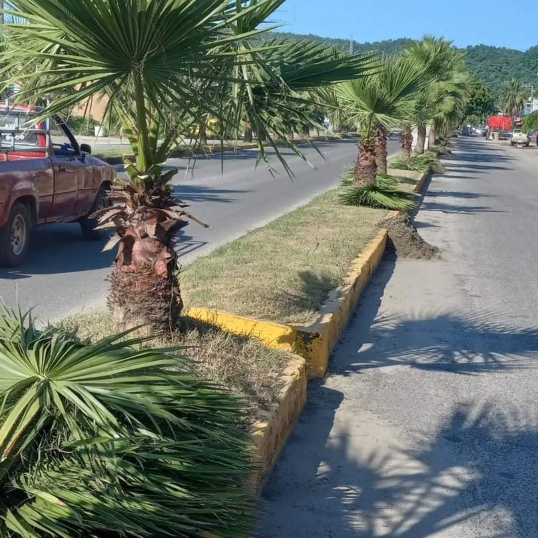 Sismo Hoy 31 de Enero 2025 en Cihuatlán: Magnitud del Temblor que se Registró en Jalisco