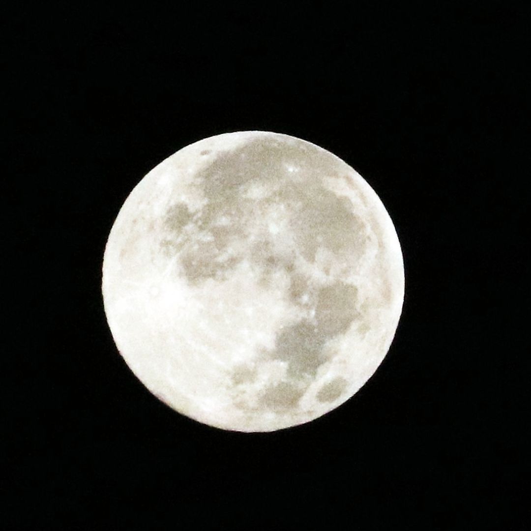 Luna Llena de Lobo 2024 Deslumbra al Amanecer en CDMX