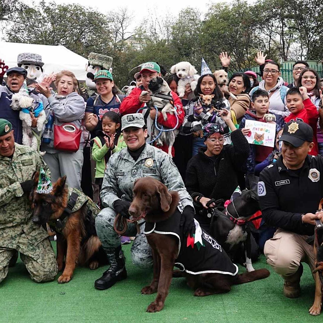 Perrotón 2025 del Ejército: Dónde y a Qué Hora Será la Caminata con Lomitos