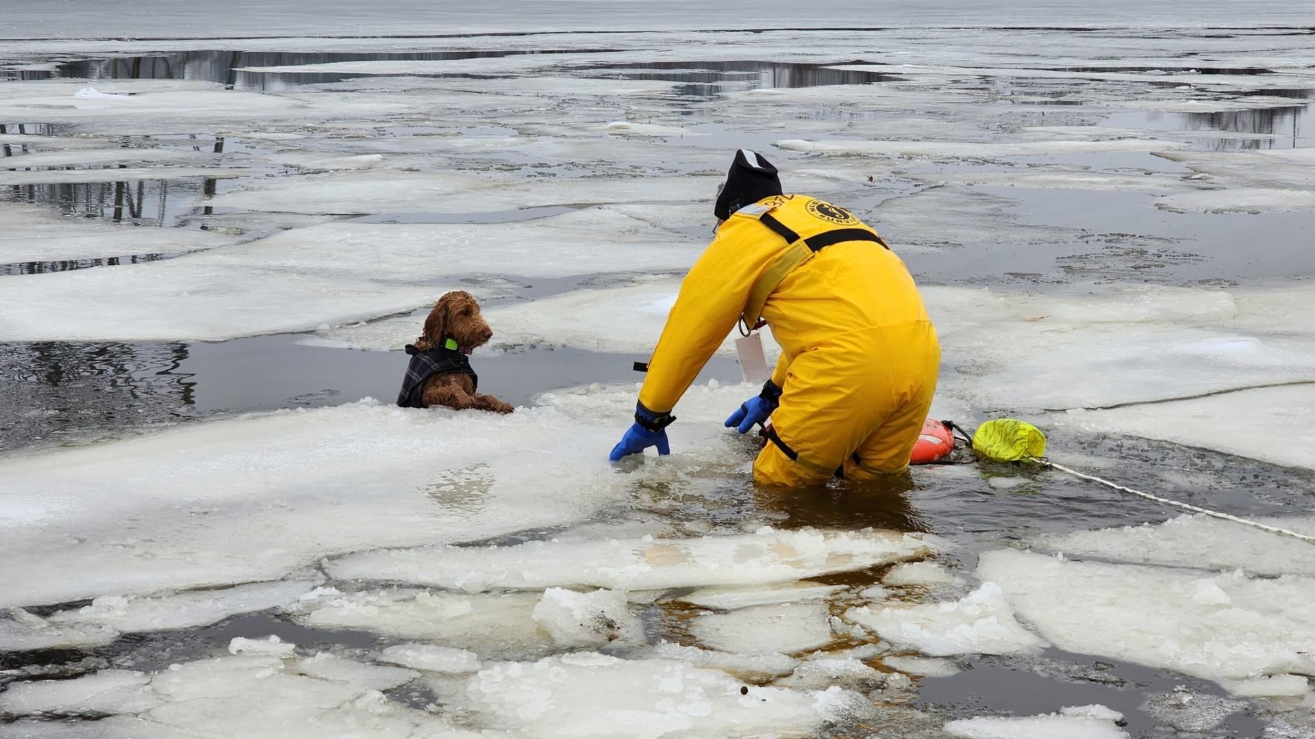 Rescate de perrito que cayó a río congelado