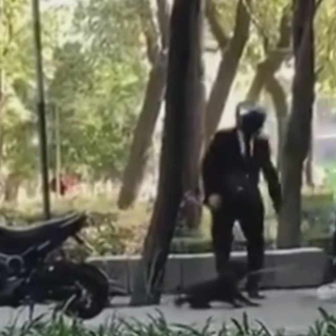 Presuntos trabajadores de Sandra Cuevas golpearon a un hombre en Paseo de la Reforma, CDMX.