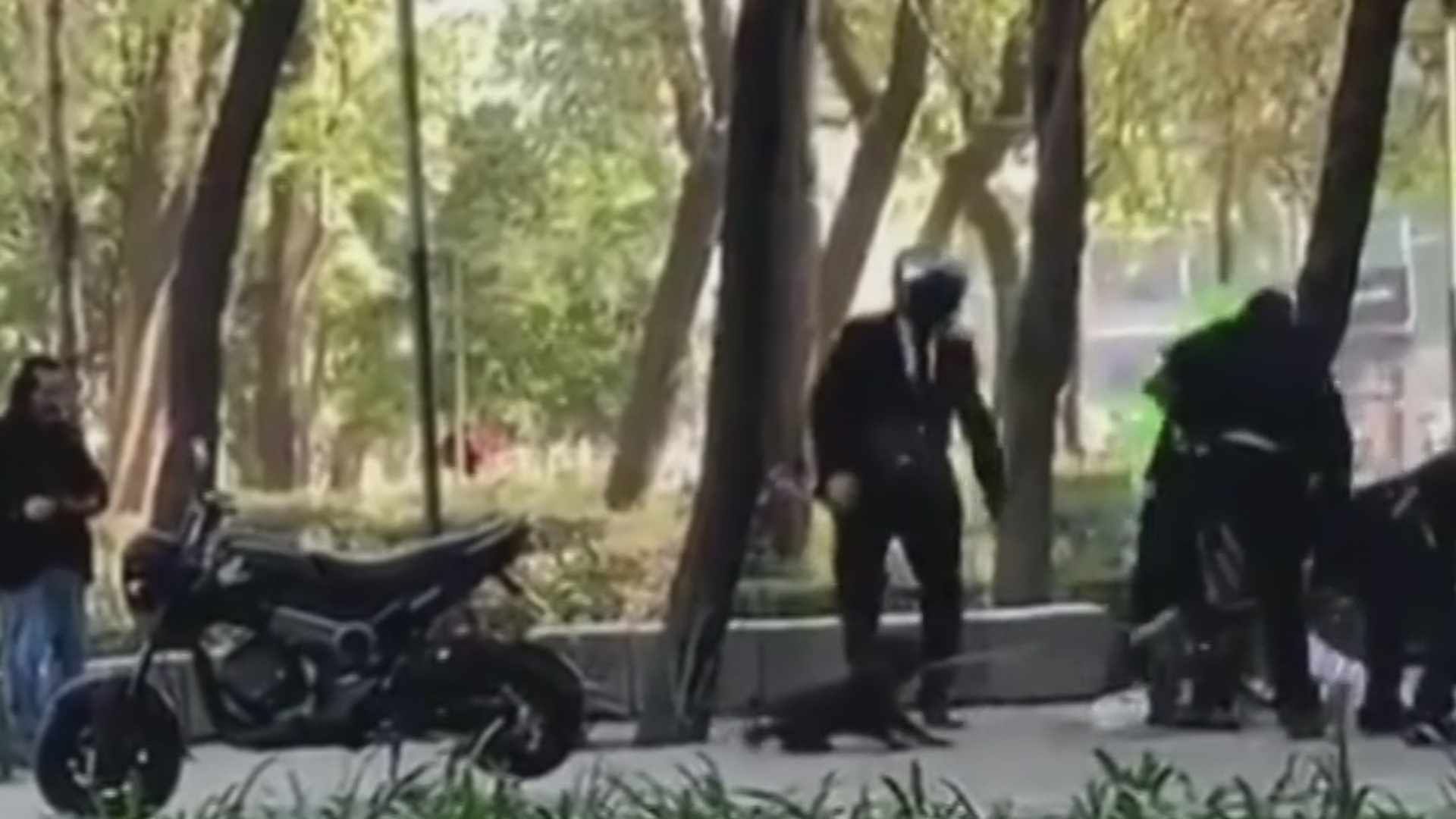 Presuntos trabajadores de Sandra Cuevas golpearon a un hombre en Paseo de la Reforma, CDMX.