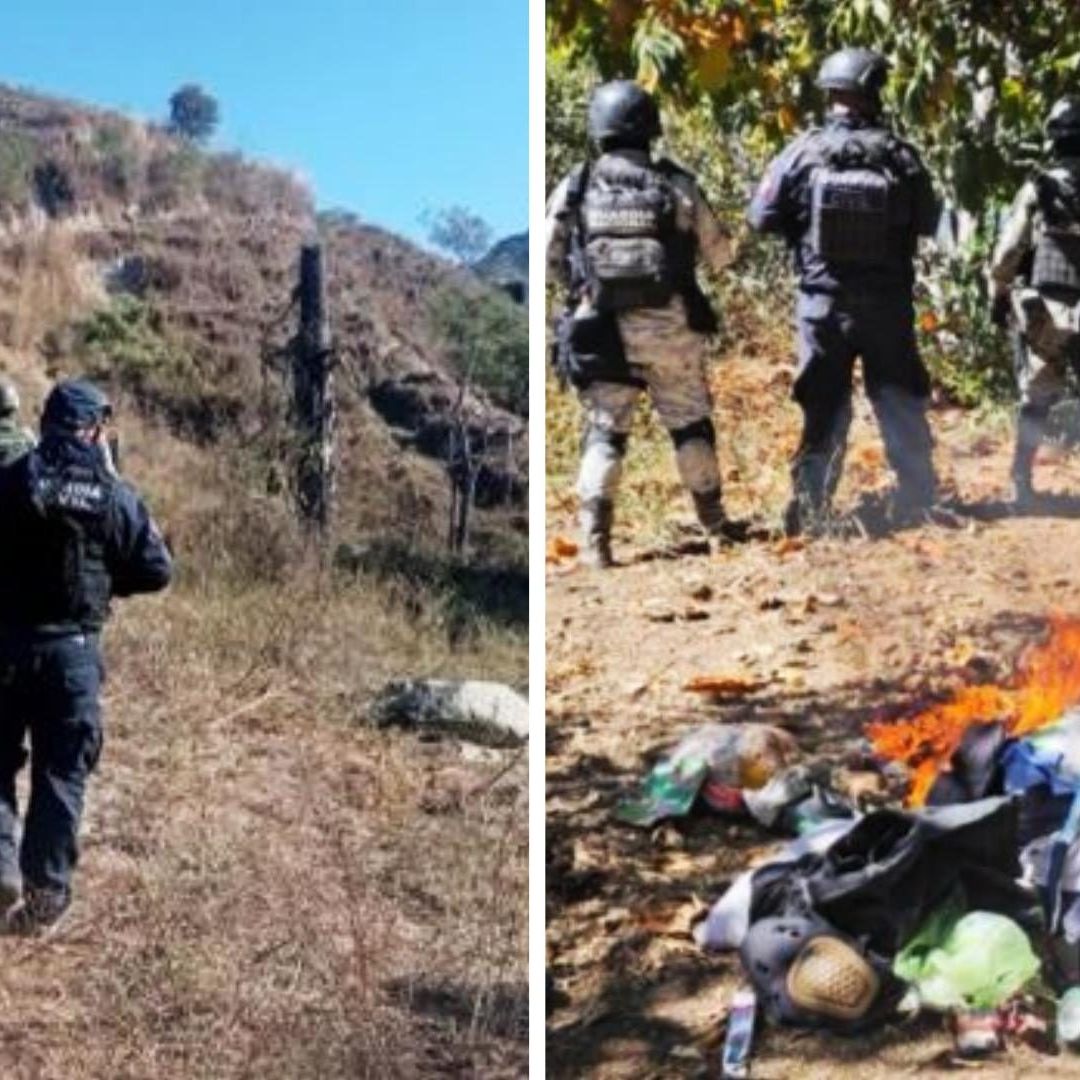 Desmantelan narcocampamentos en Aquila, Michoacán