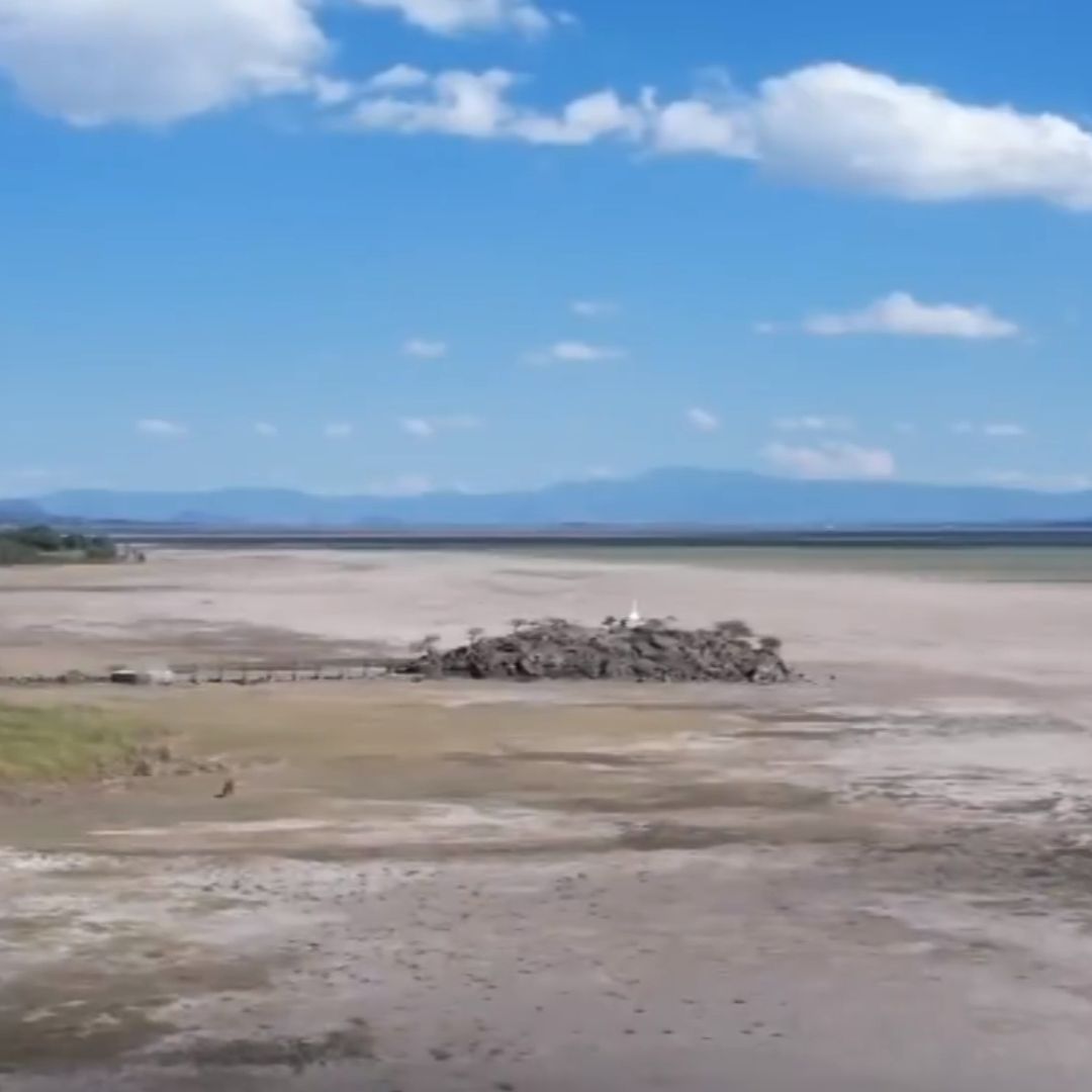 Escasez de Agua: Agoniza el Lago de Cuitzeo, en Michoacán