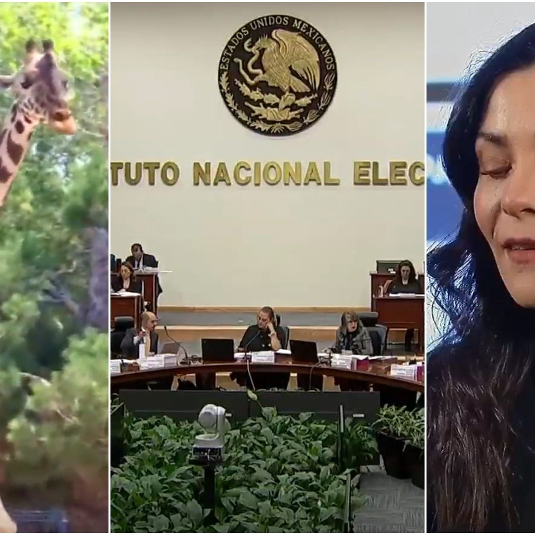 ¿Qué Nos Dejaron Las Mangas del Chaleco del Viernes 26 de Enero de 2024?