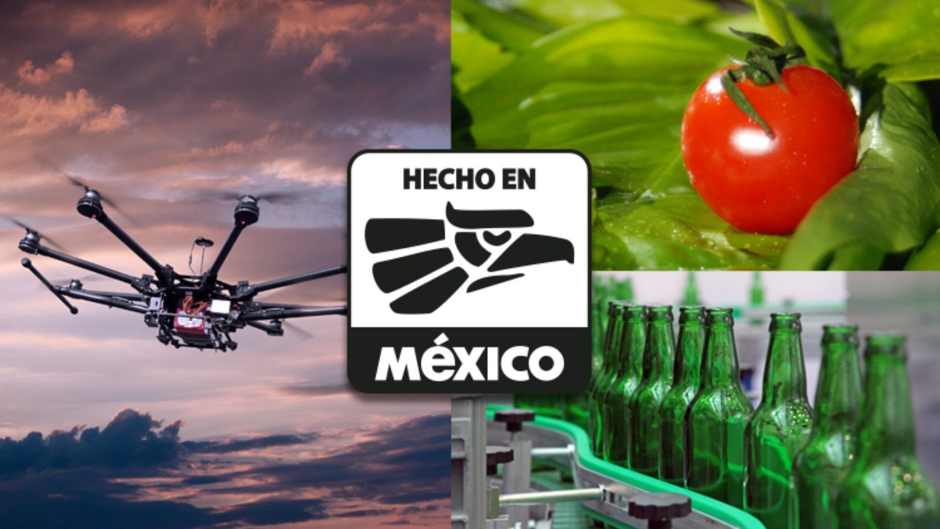 Cuándo lanza la Secretaría de Economía la campaña Hecho en México en 2025