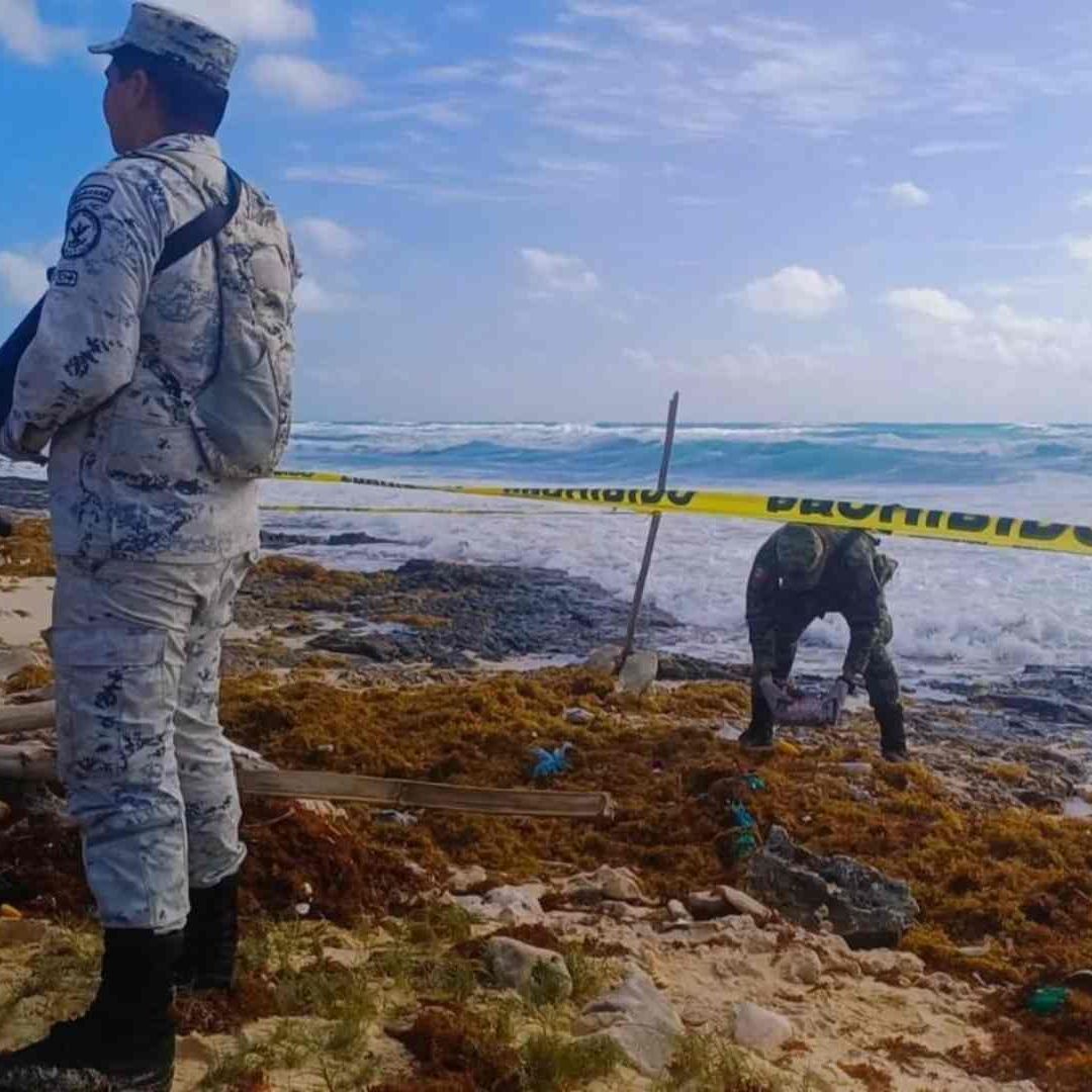 GN encuentra droga oculta en sargazo en playa de Quintana Roo