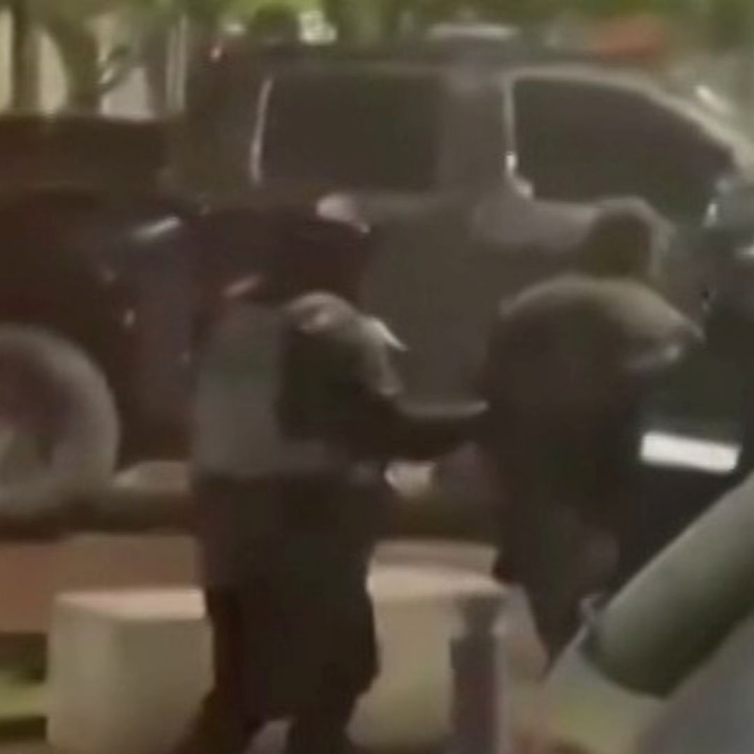 Los detenidos fueron trasladados al Reclusorio Sur