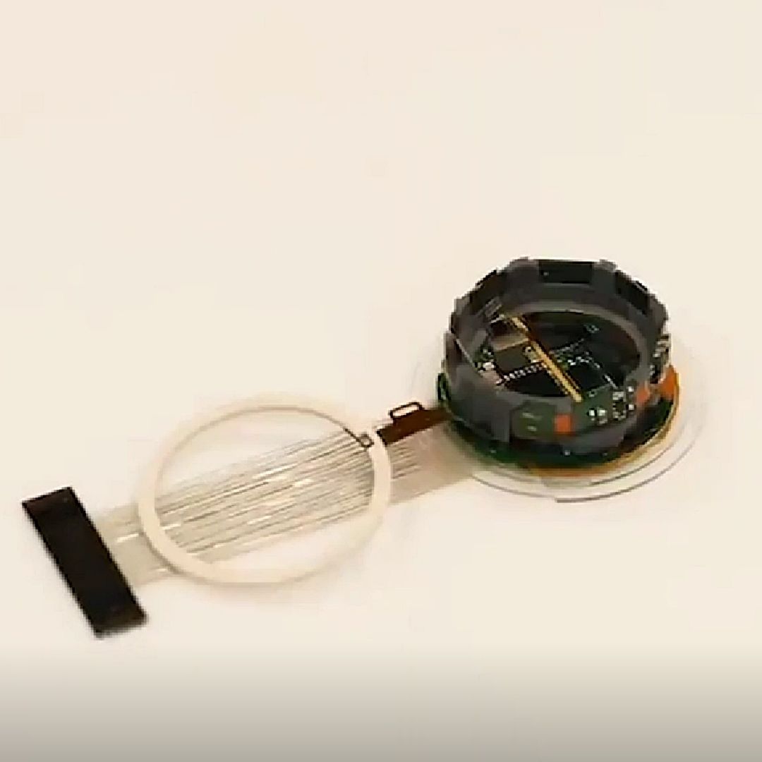 Implantan el primer chip cerebral en un ser humano; se llama Telepathy