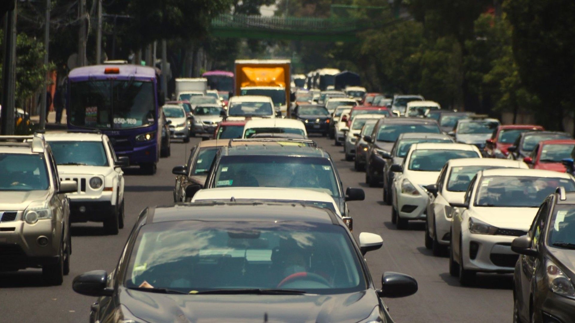 Hoy No Circula Martes 31 de Enero de 2024 en CDMX y Edomex: ¿Qué Autos Descansan?