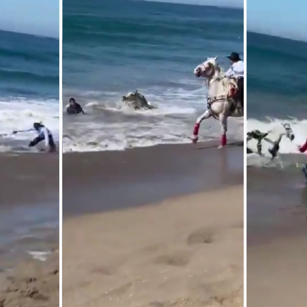 Video | Jinetes y Caballos son Arrastrados por las Olas del Mar en Mazatlán, Sinaloa