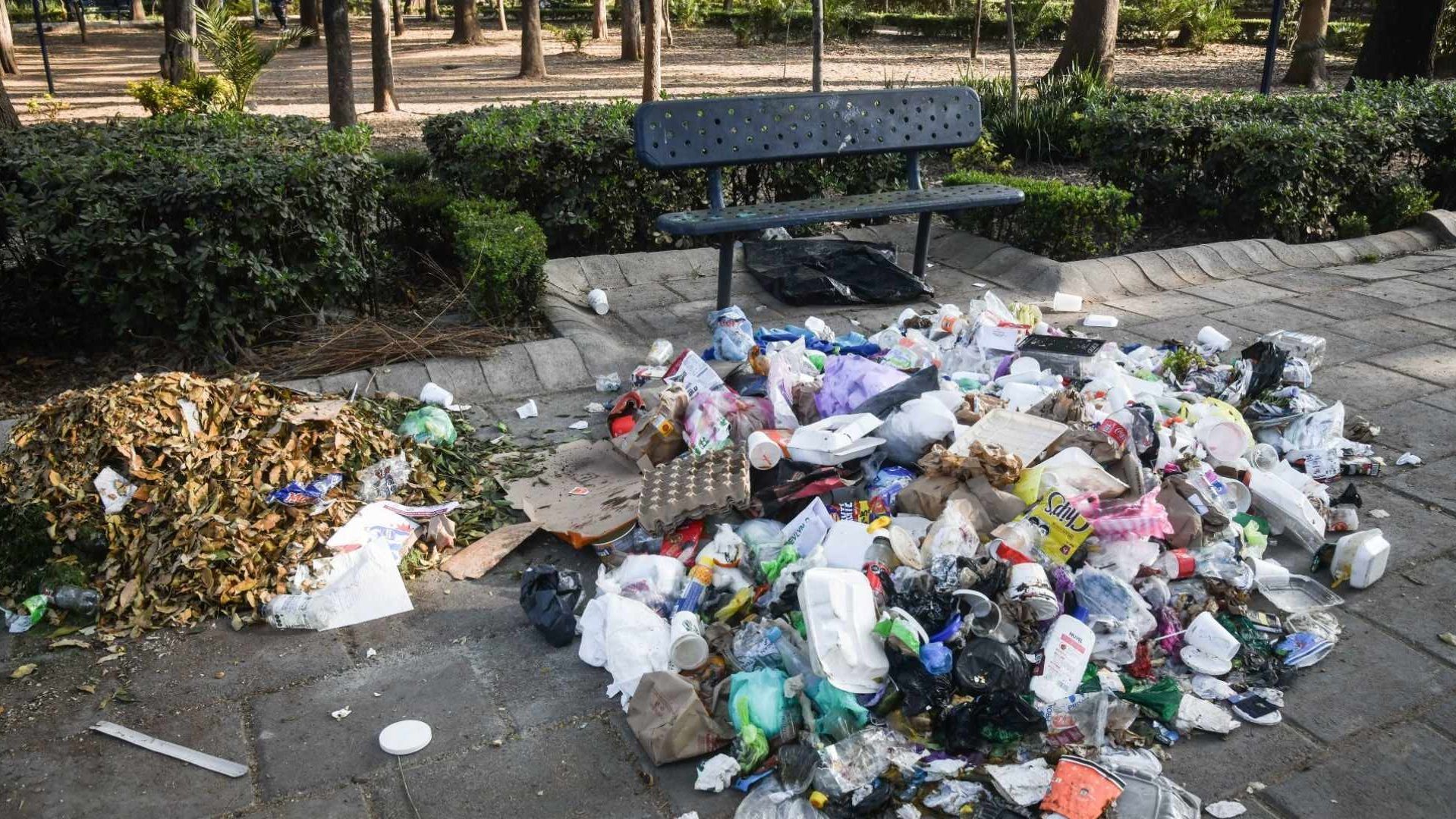 Habitantes de la CDMX Enfrentan la Problemática de la Acumulación de Basura