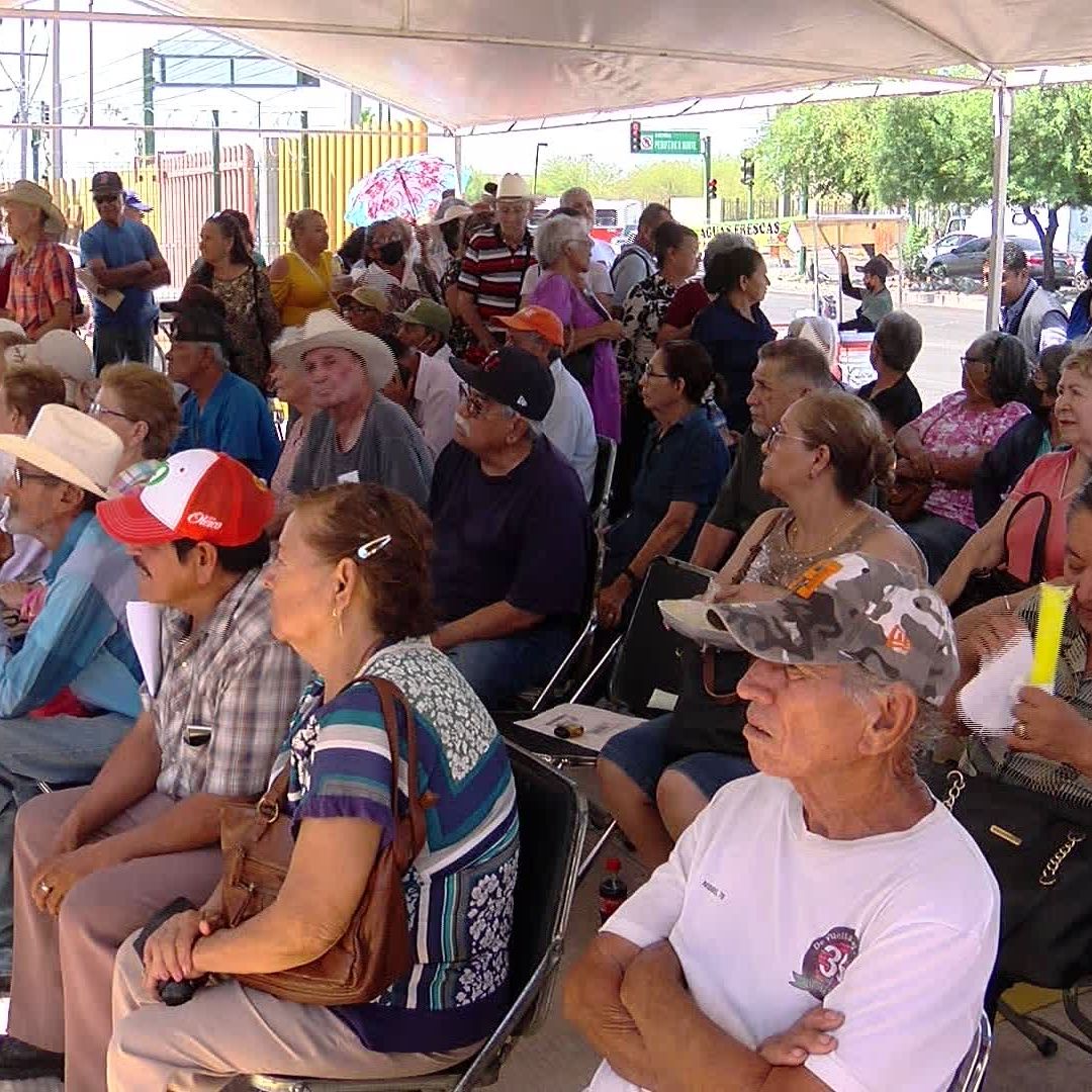 Si Cumples 65 Años en Enero y Febrero Podrás Registrarte en Pensión Bienestar