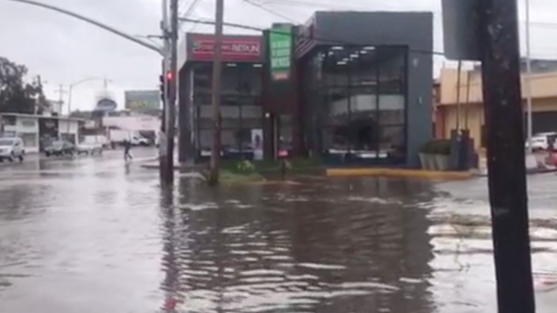 Reportan Saldo Blanco Tras Tormenta en Tijuana