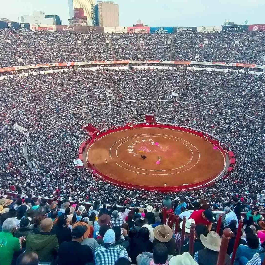 Corrida de toros en la Plaza México