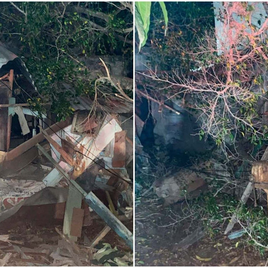 Cae Árbol sobre una Persona de la tercera Edad que se Encontraba en el Baño