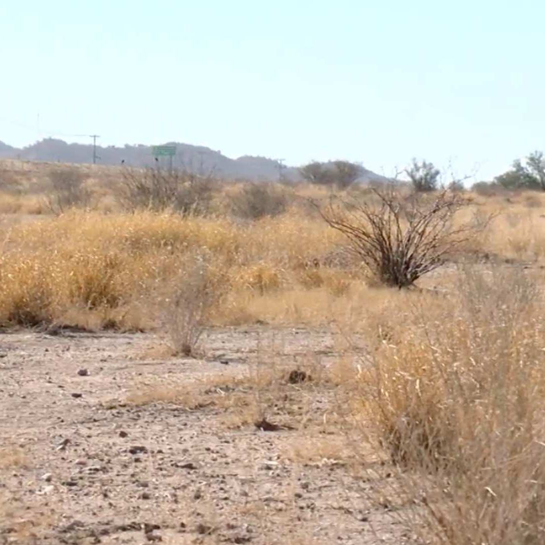 Declaran Sémaforo Amarillo por Sequía Extrema en la Capital de Sonora