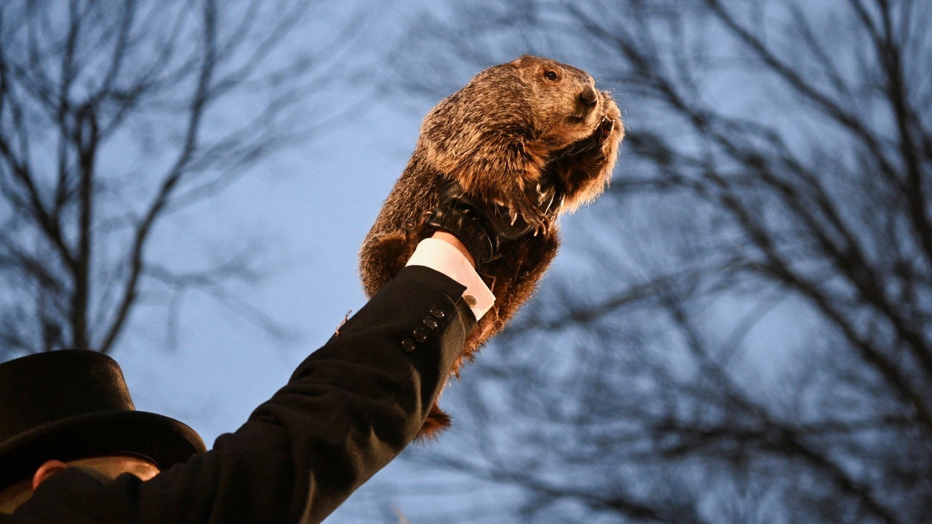 Día de la Marmota 2024