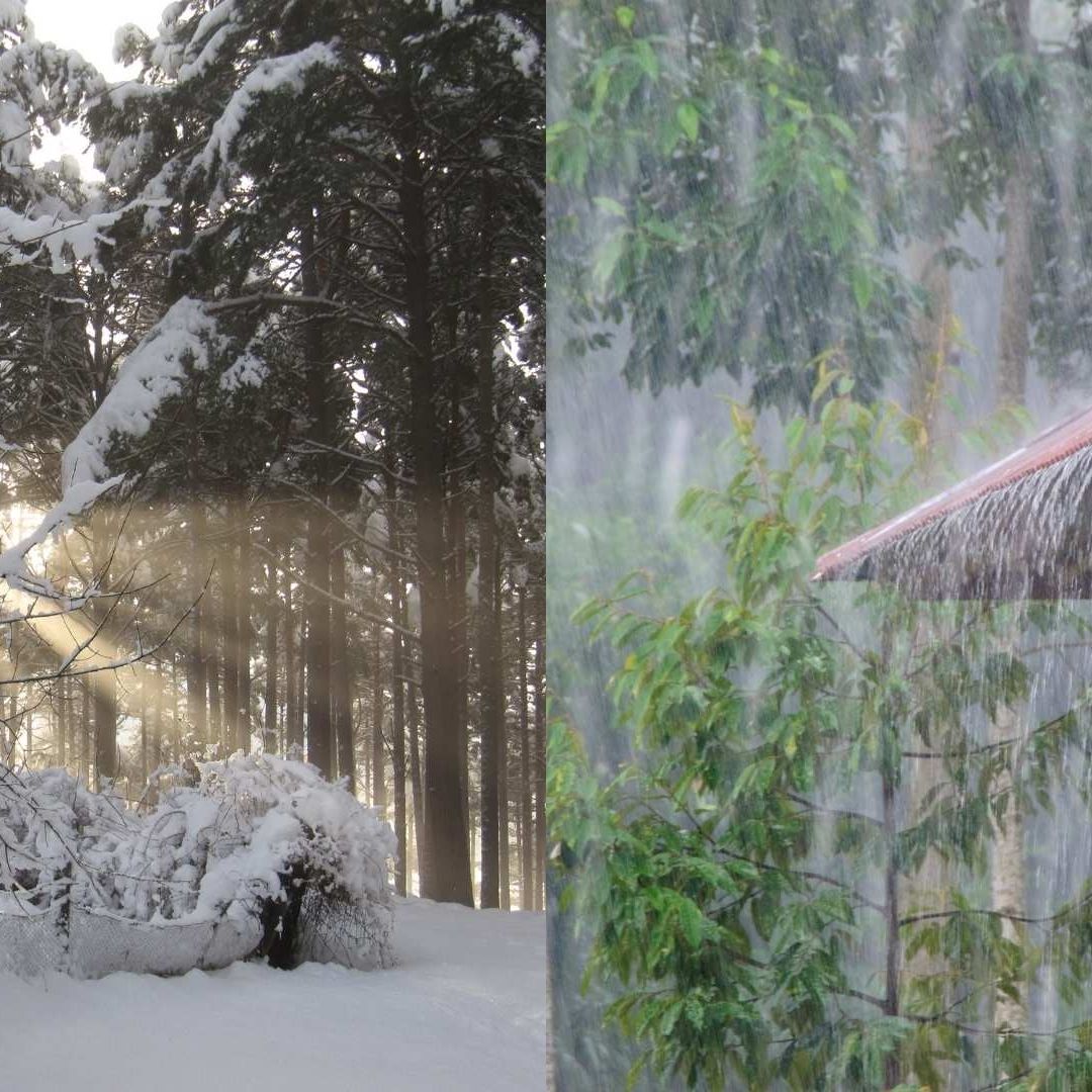 Alertan por Lluvias Intensas y Caída de Nieve en Ensenada; Piden Tomar Precauciones