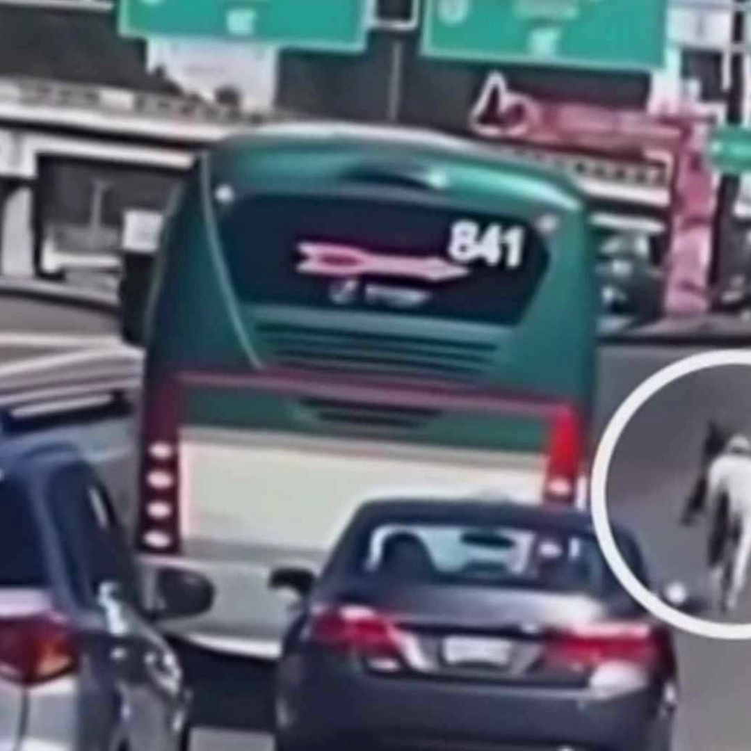 Captan a caballo en la México-Toluca
