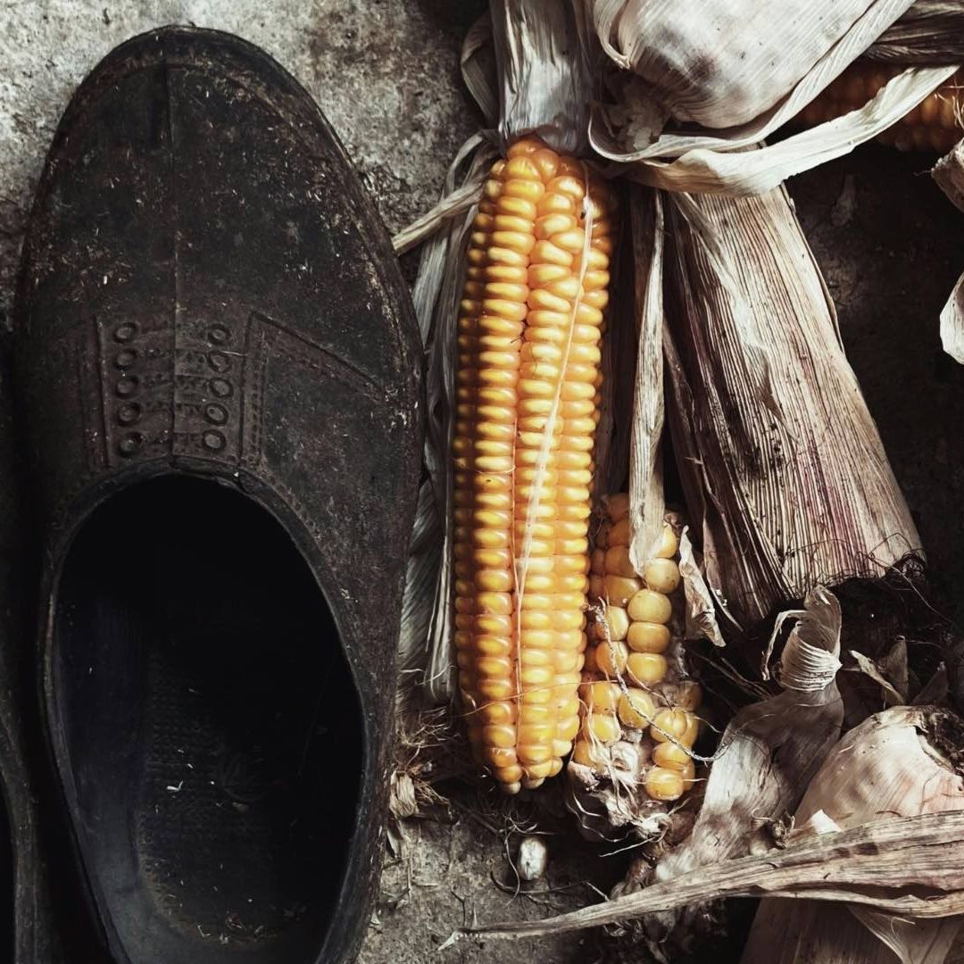 Iban a Linchar a Tres Menores y un Adulto por Robo de Elotes en Huaquechula, Puebla