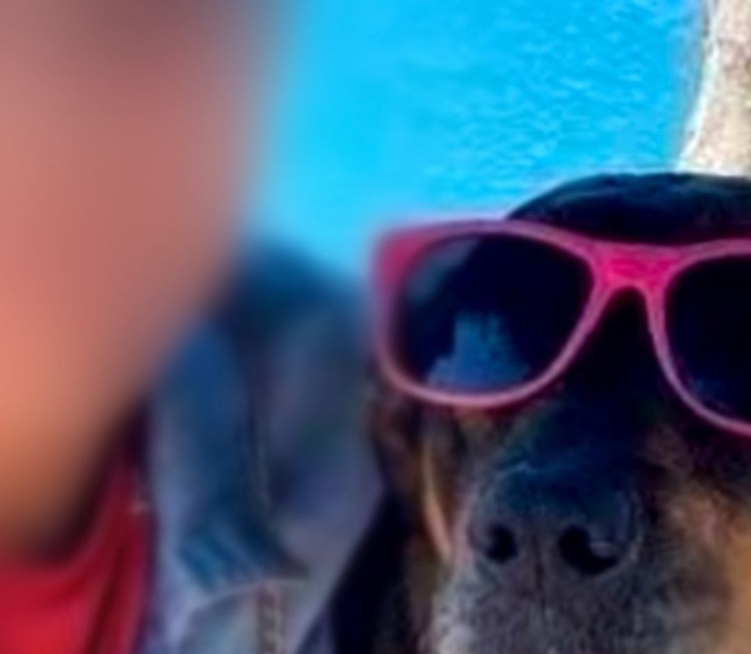 Rescatan en Puebla a Menor 'Sustraída' por Compañero de su Padre en Tijuana