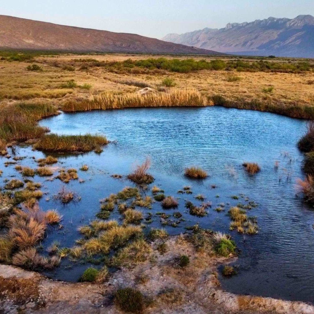 Microorganismos del Desierto De Cuatro Ciénegas Podrían Originar Antibióticos y Antitumorales