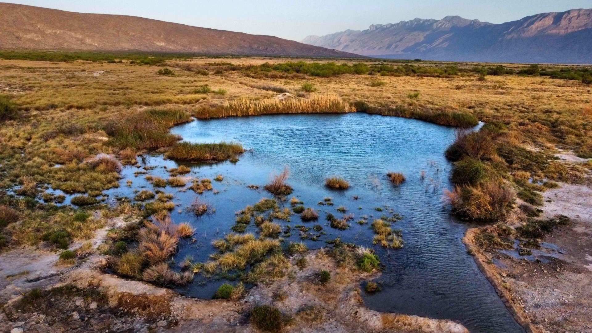 Microorganismos del Desierto De Cuatro Ciénegas Podrían Originar Antibióticos y Antitumorales