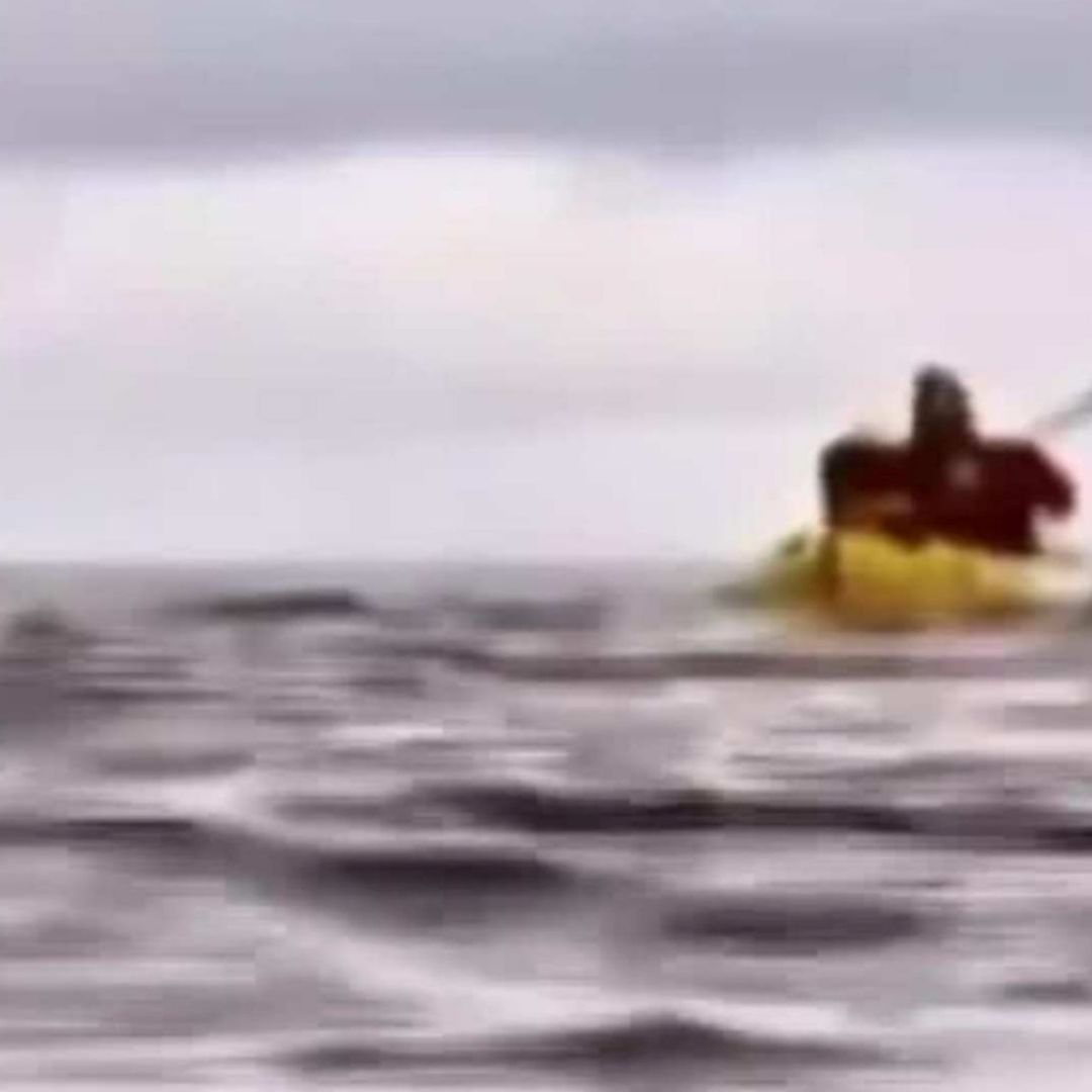 Ballena se traga a joven en Chile