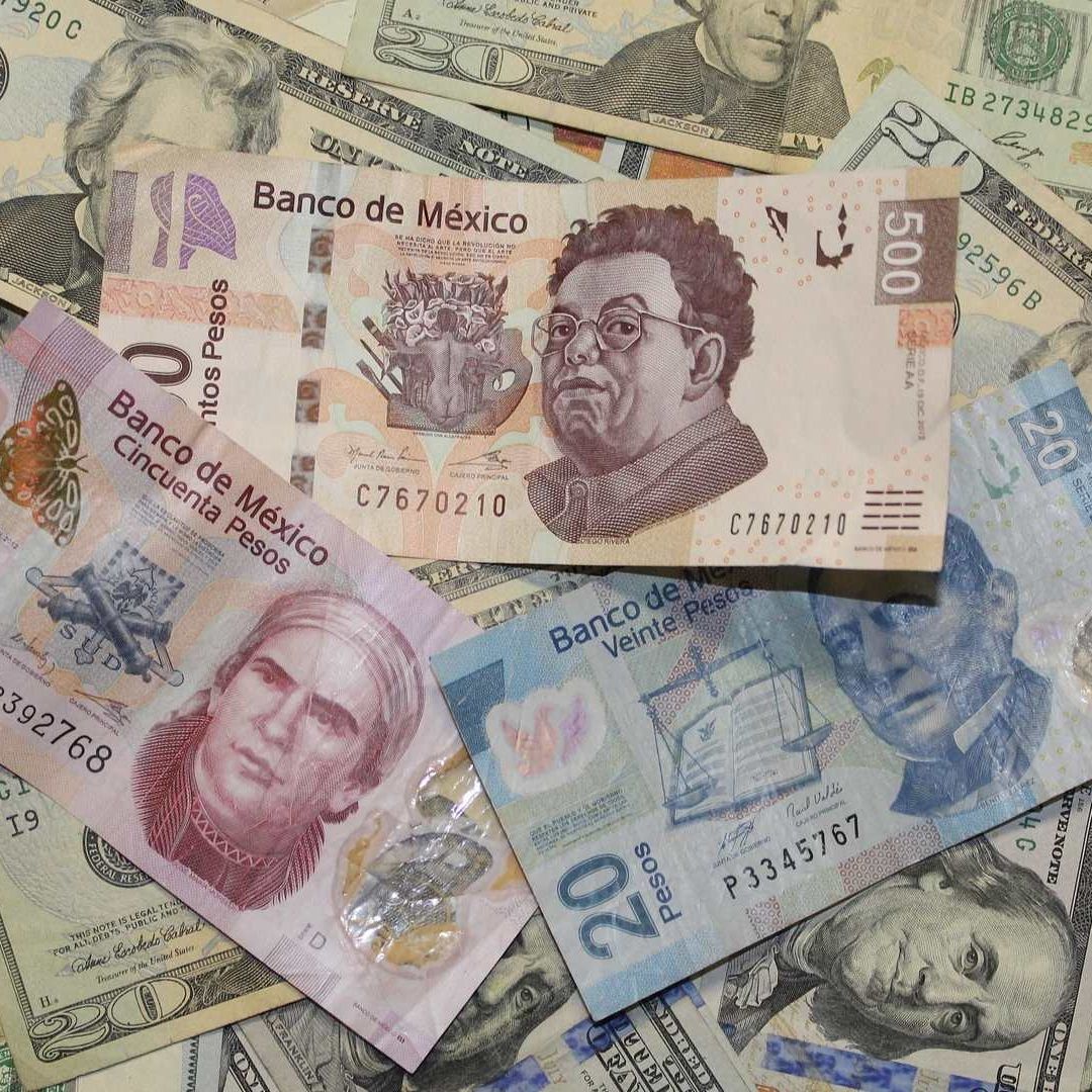 Precio del Dólar HOY Viernes 14 de Febrero de 2025: ¿Cómo Está el Tipo de Cambio con el Peso?