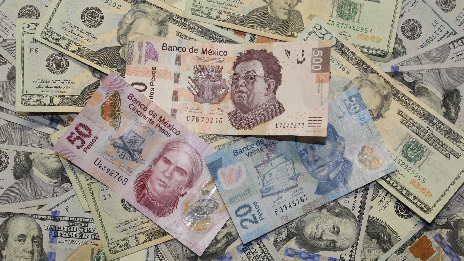 Precio del Dólar HOY Viernes 14 de Febrero de 2025: ¿Cómo Está el Tipo de Cambio con el Peso?