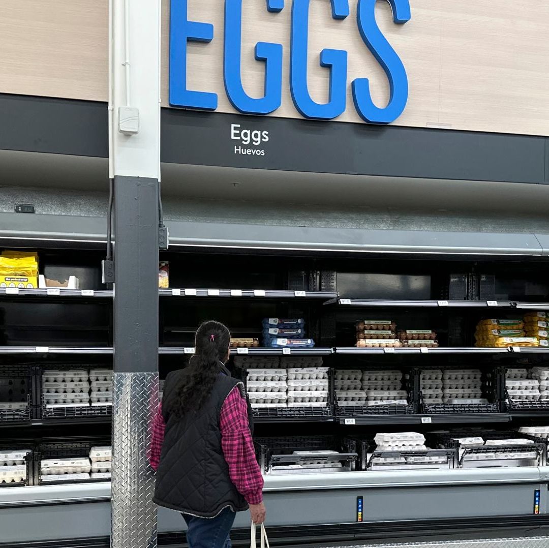Los altos precios del huevo en Estados Unidos se deben a la escasez, luego de que millones de gallinas han sido sacrificadas por la gripe aviar.