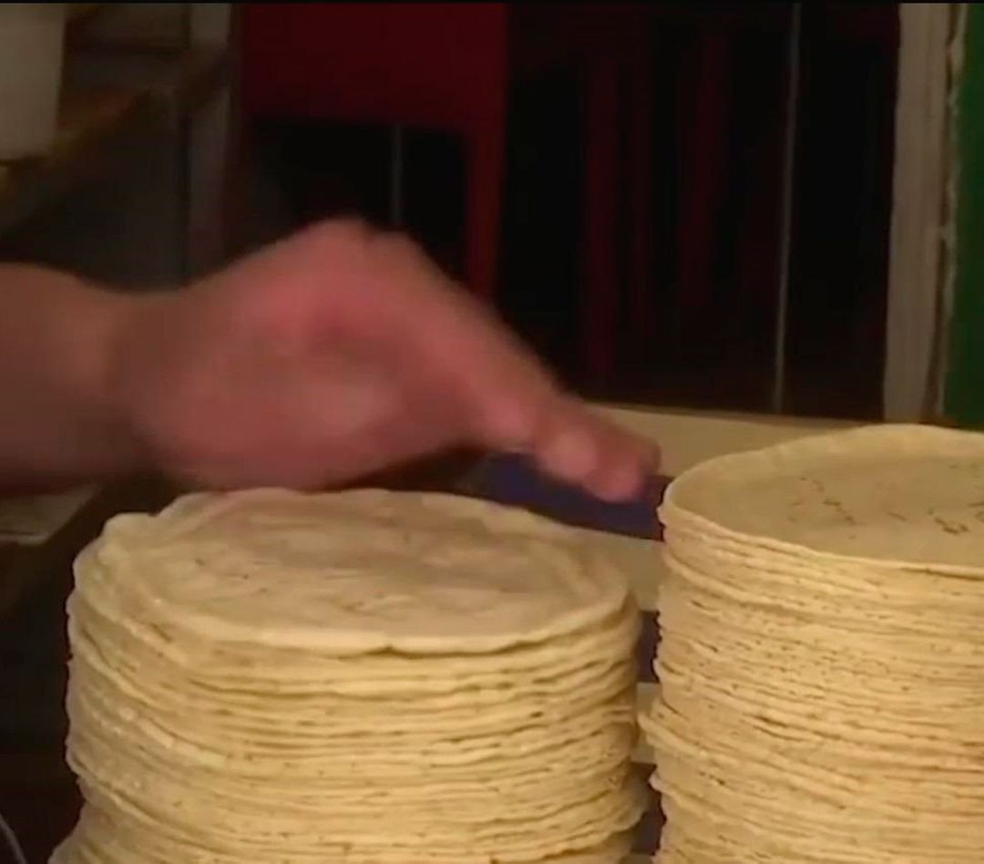 El precio promedio del kilo de tortilla aumentó