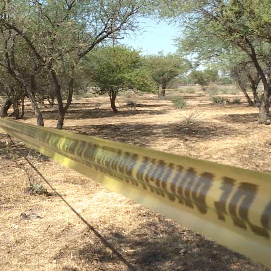 Crisis Forense En Guanajuato
