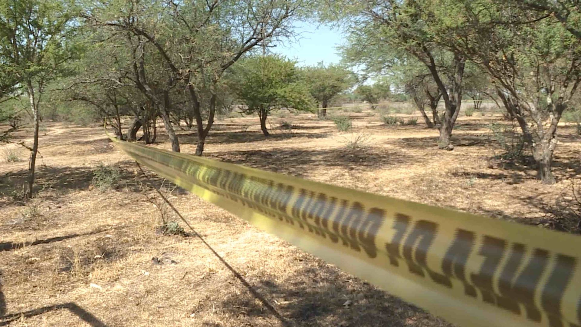 Crisis Forense En Guanajuato