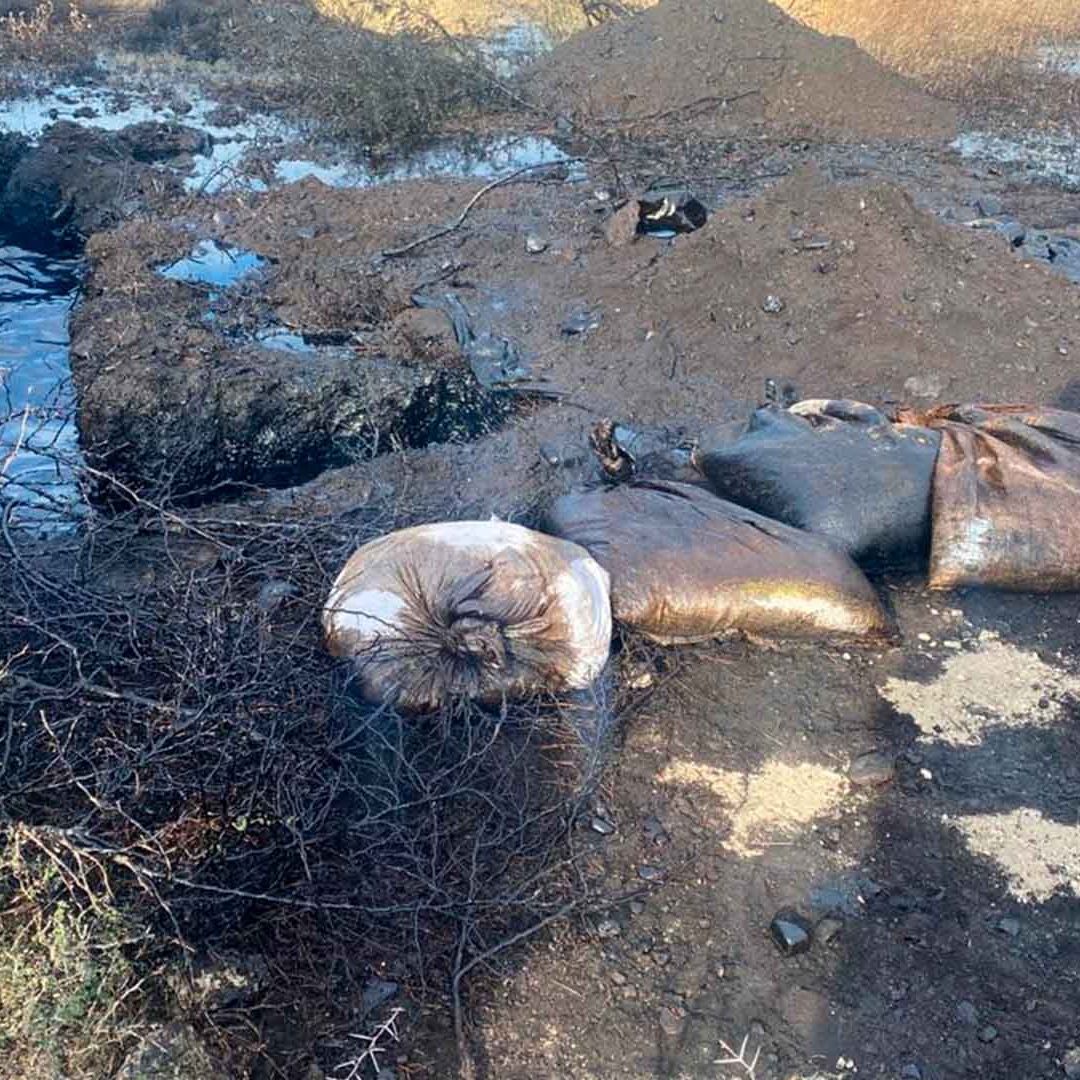 Personal de Pemex y la Guardia Estatal Localizan una Fuga de Hidrocarburos en Tamaulipas