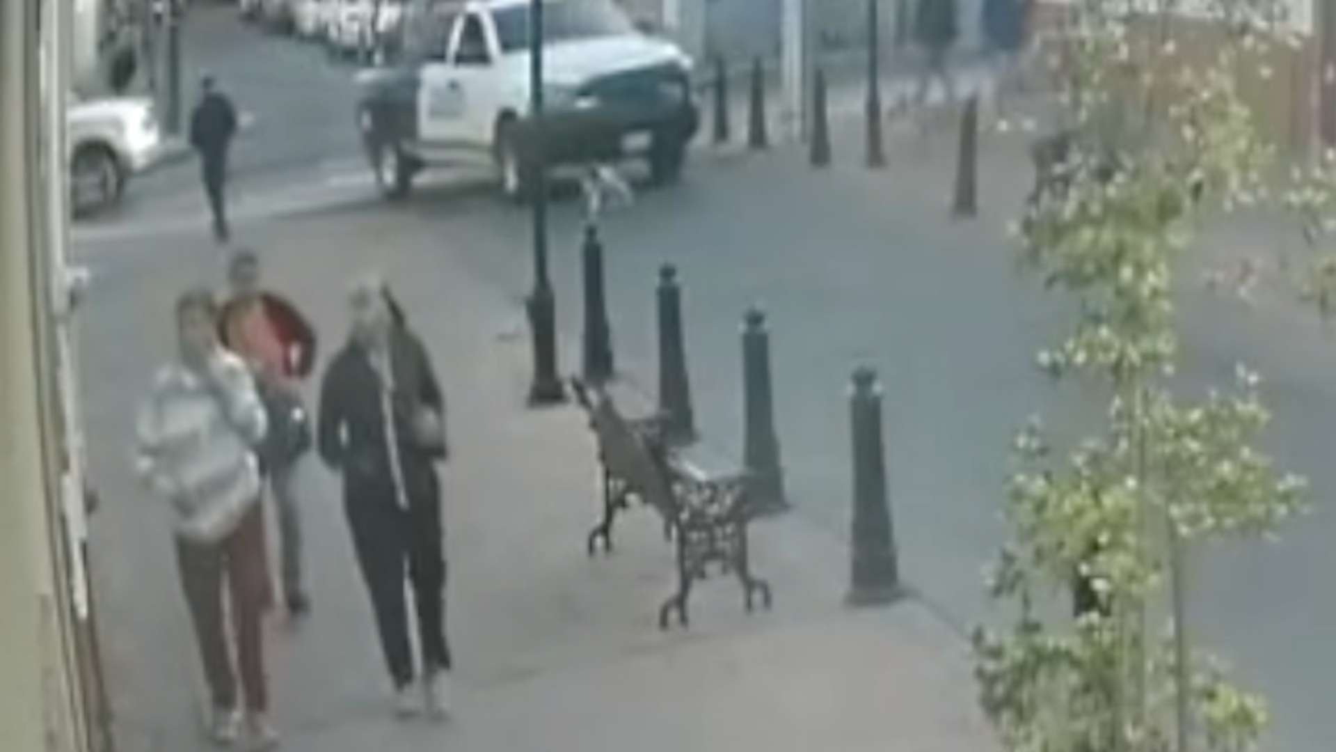 Policía de Valle de Santiago Atropella a un Perro y se Da a la Fuga