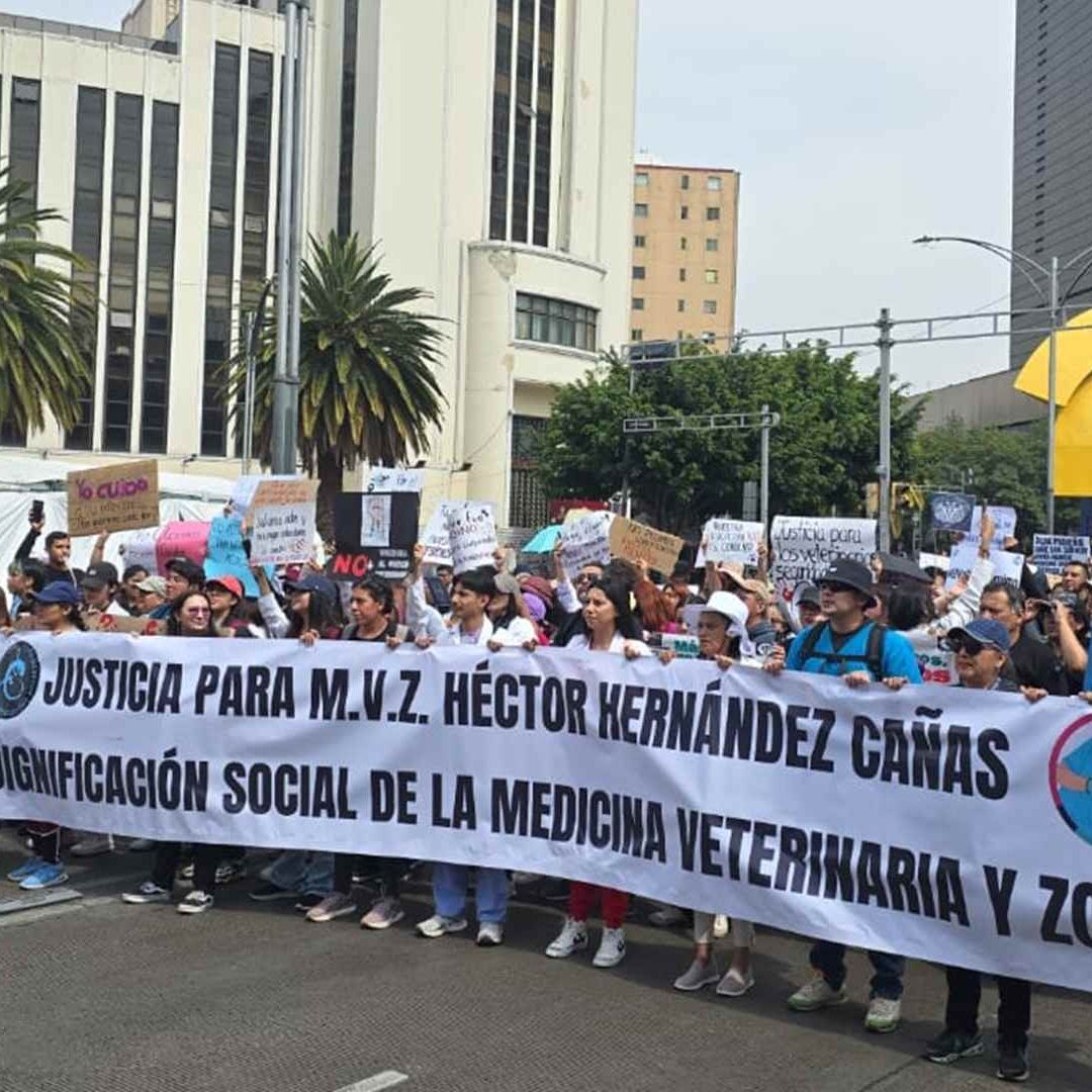 Marcha de veterinarios en la CDMX