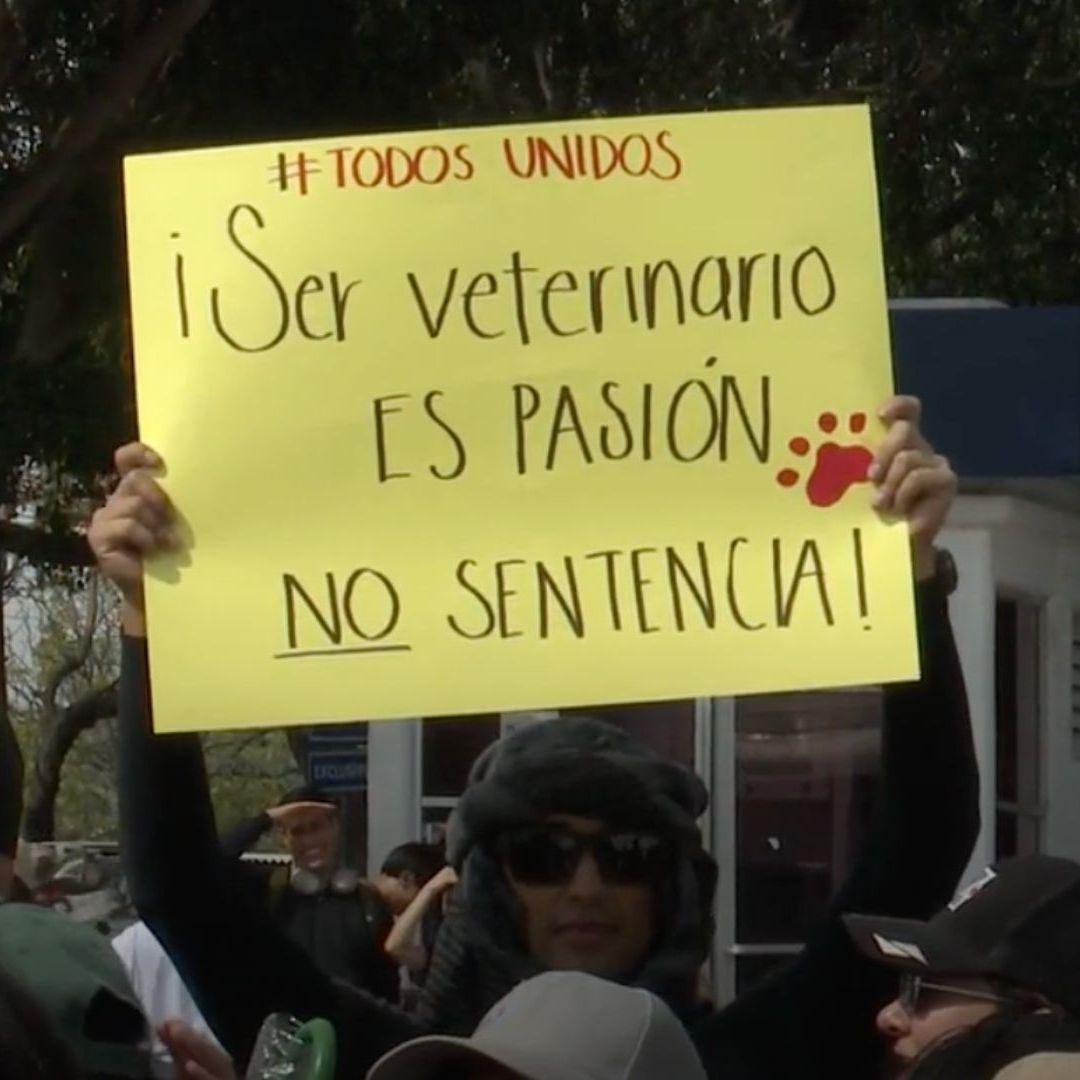 protesta en queretaro por veterinarios