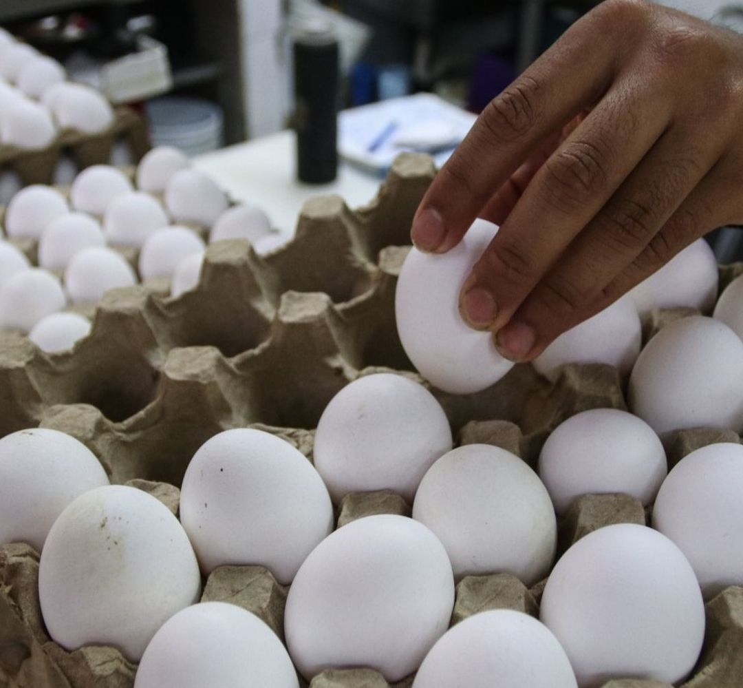Escasez de Huevo en EUA Provoca Contrabando del Producto en la Frontera de México.