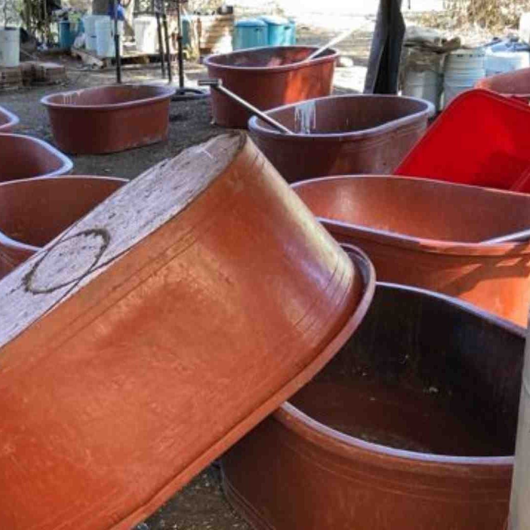 Desmantelan el Laboratorio de Droga Más Grande en Sonora