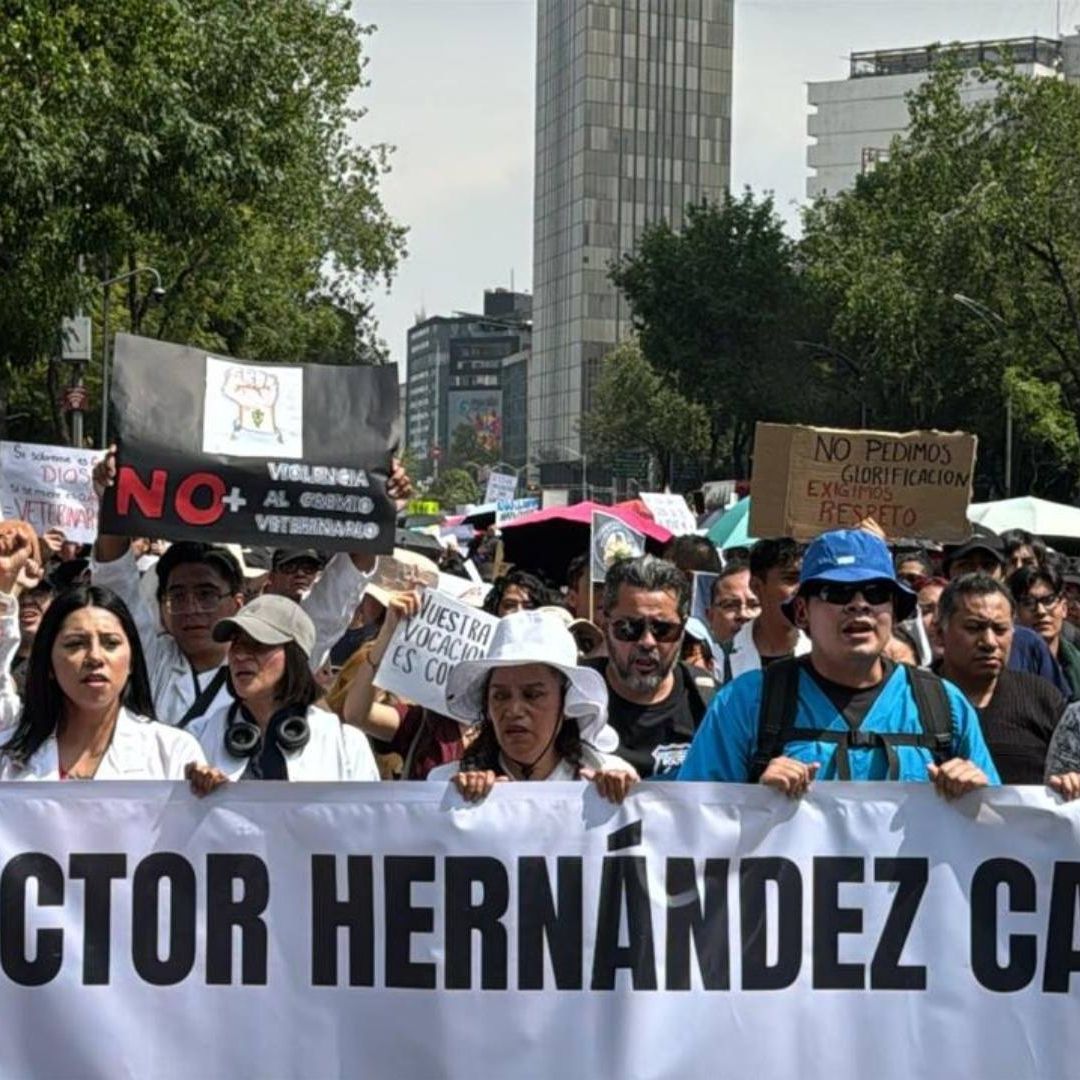 Marchas HOY Miércoles 19 de Febrero de 2025 en CDMX: Manifestaciones y Concentraciones