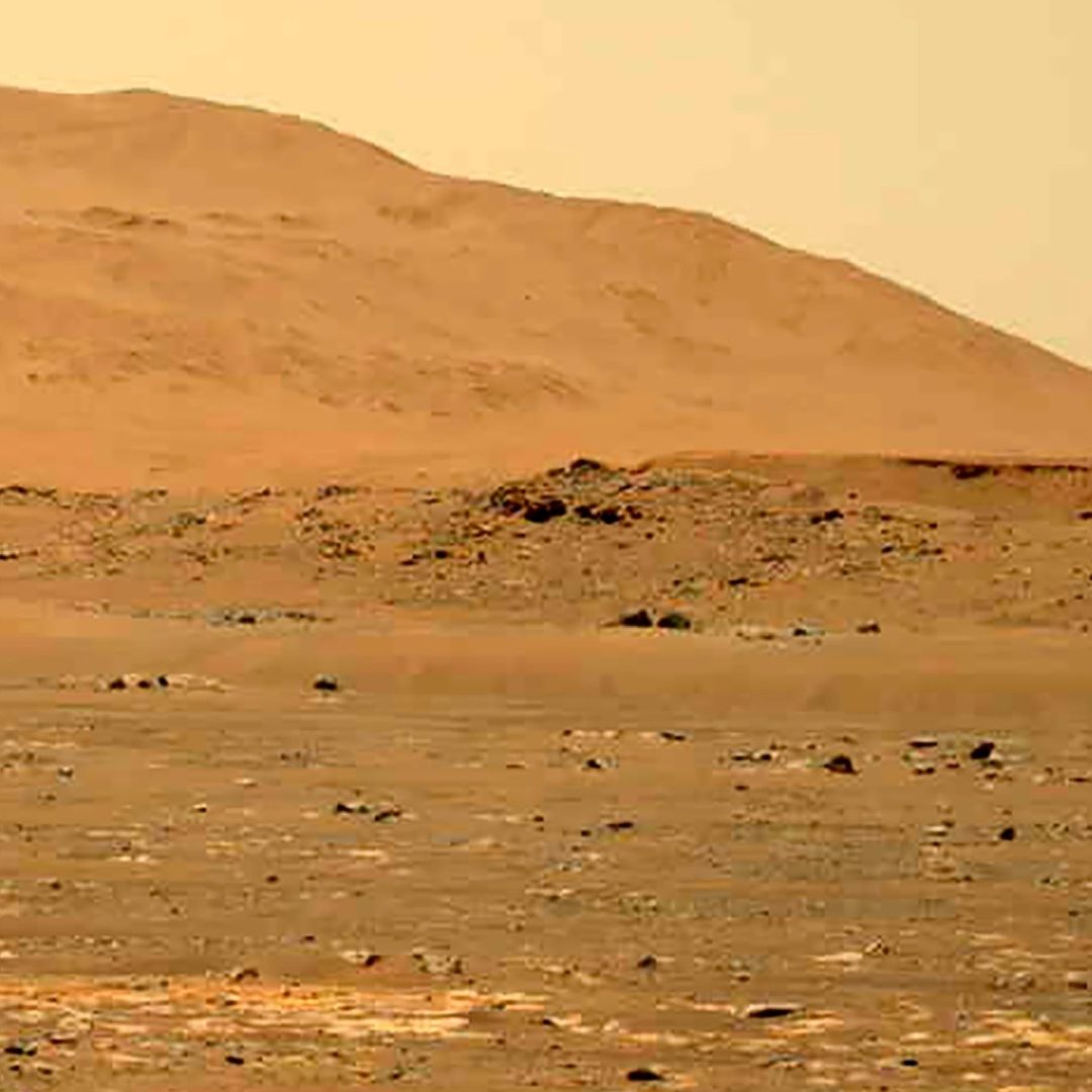Imagen tomada por el rover Mars Perseverance sobre el planeta Marte
