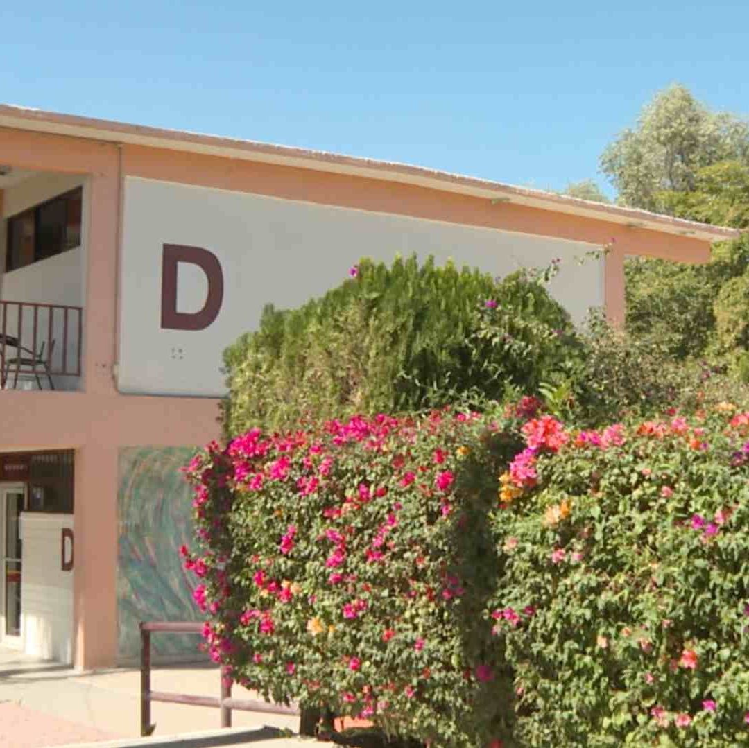 Inscripciones de Universidad Estatal de Sonora 2025. ¿Cómo, Cuándo y Dónde Registrarse?