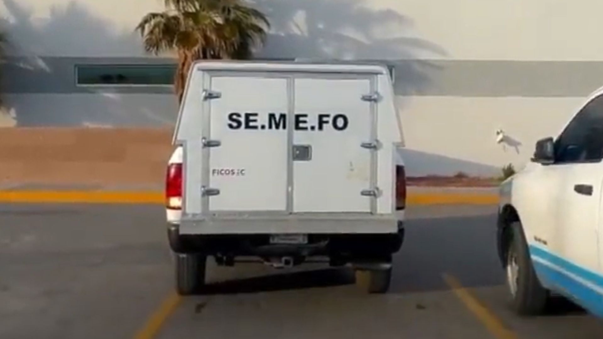 Fiscalía de Chihuahua Informa que Se Han Extraído 81 Cuerpos de Fosas Clandestinas